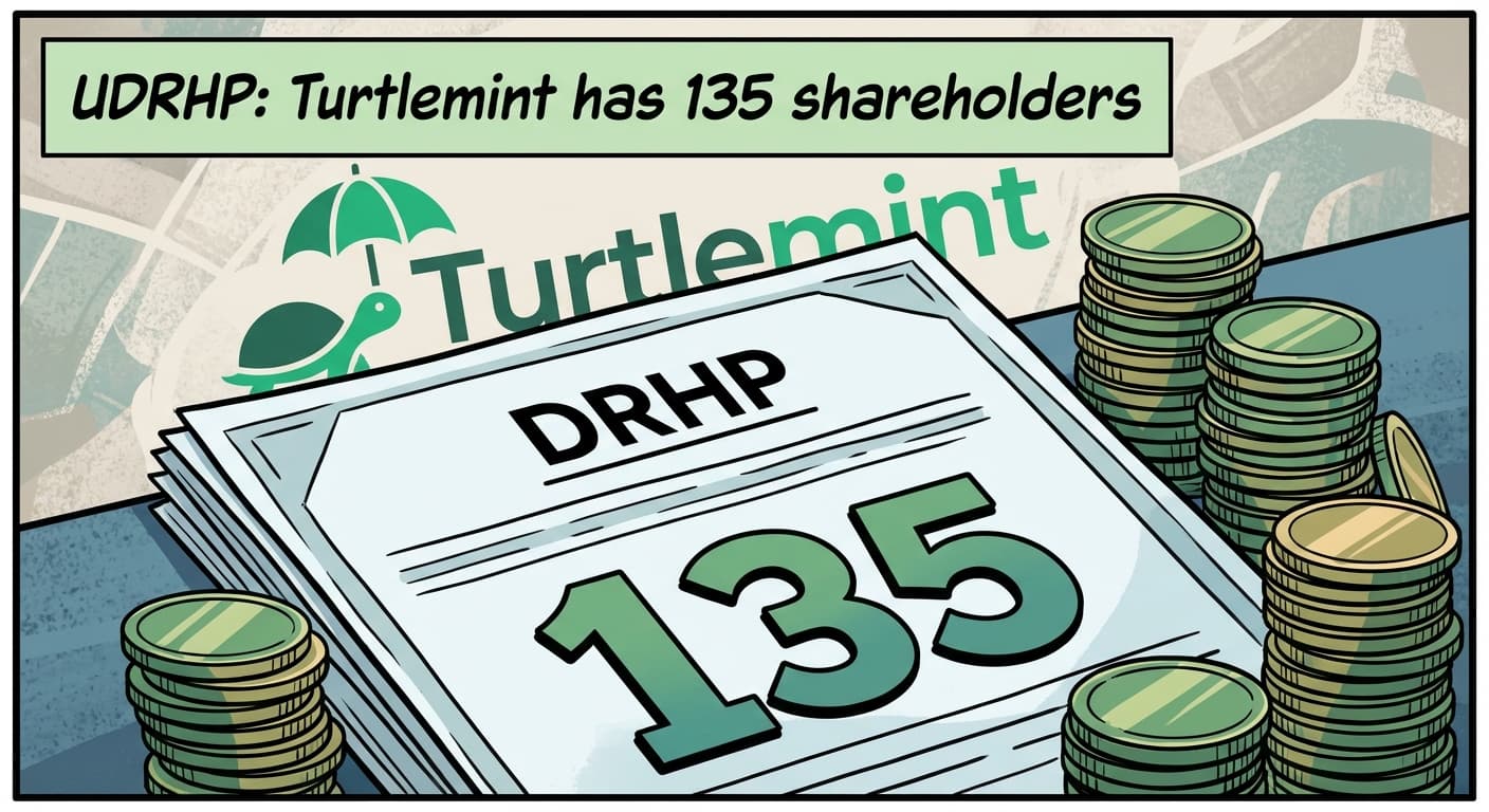 Turtlemint DRHP: A Look At Shareholding Pattern & Key Executives